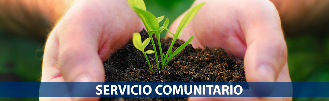 PRÁCTICAS SERV COMUNITARIO SP - P5274-PRACTICO-Q0256-01-N07